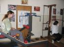 posil�ov�a-bodybuilding gym